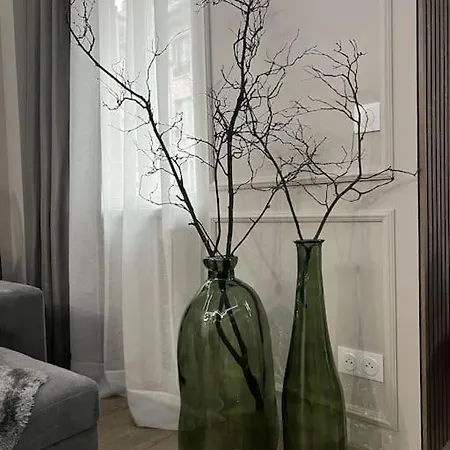 Apartmán Luxueux Pres De La Cathedrale Štrasburk