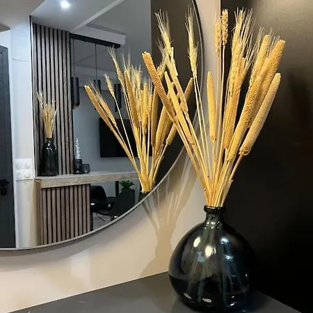 Apartman Luxueux Pres De La Cathedrale